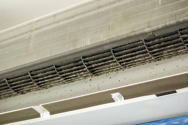 Best Air Duct Cleaning Near Me  in Ormond By The Sea, FL